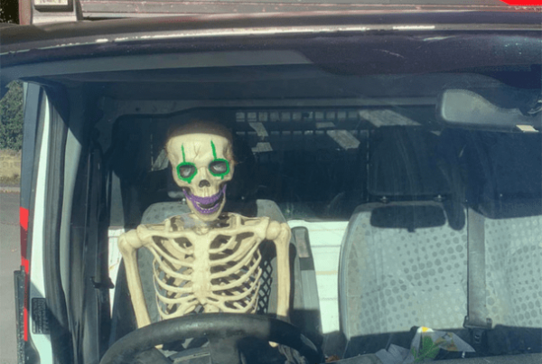 Halloween skeleton sat behind the drivers wheel of a waste disposal van