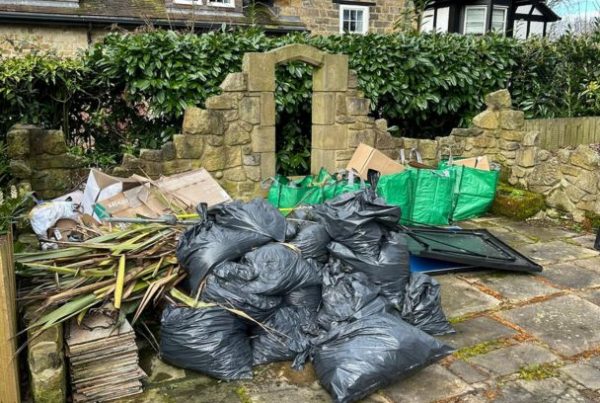 The Waste Team – Blog Header The Waste Team - Blog Header